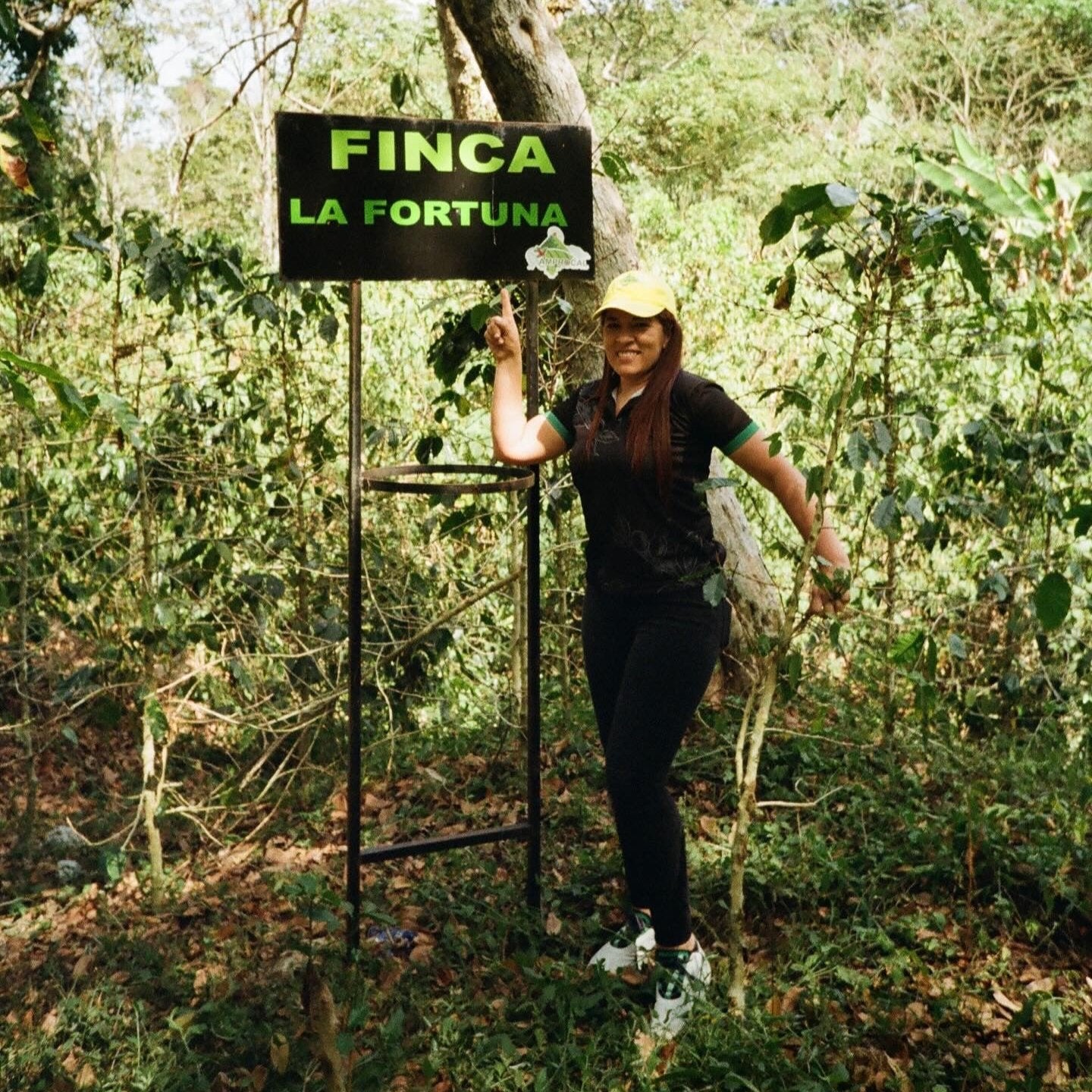 Honduras La Fortuna (Honey)