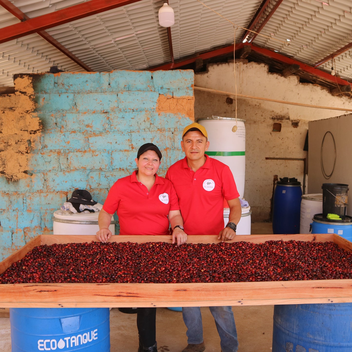 Ecuador El Alisal Typica M. (Washed)