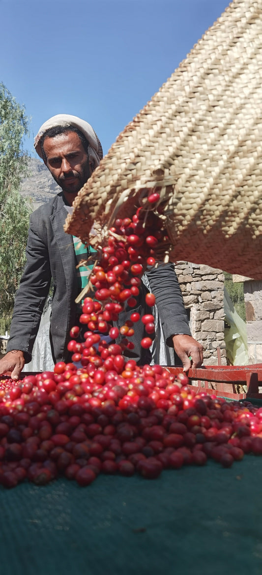 Yemen, Mokha & Sabcomeed