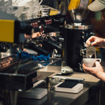 SCA Professional Barista Skills Course